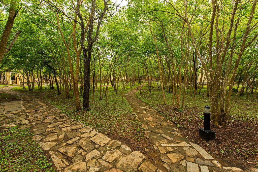 The Windflower Jungle Resort & Spa, Bandipūr Exteriör bild