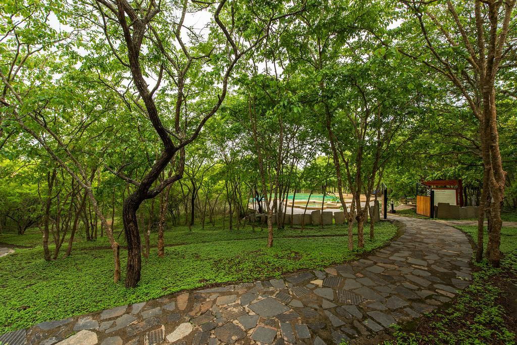 The Windflower Jungle Resort & Spa, Bandipūr Exteriör bild