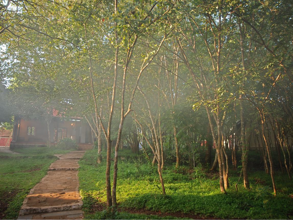 The Windflower Jungle Resort & Spa, Bandipūr Exteriör bild
